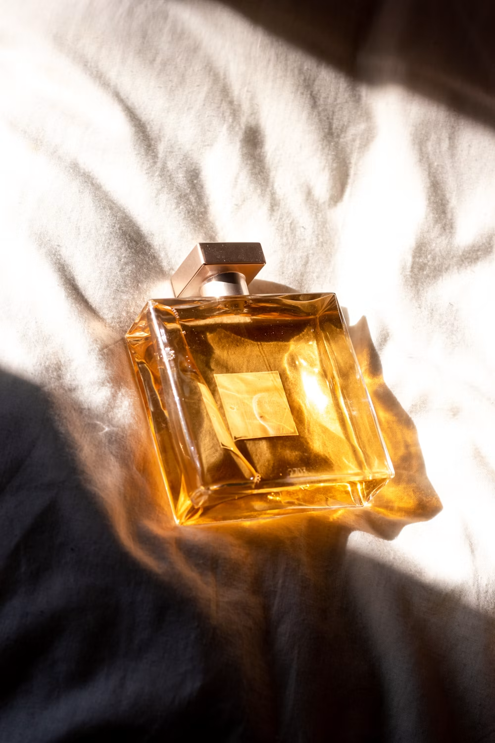 Midnight Oud